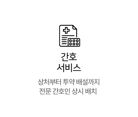 간호 서비스
