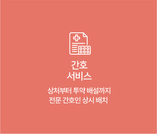 간호 서비스