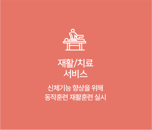 재활/치료 서비스